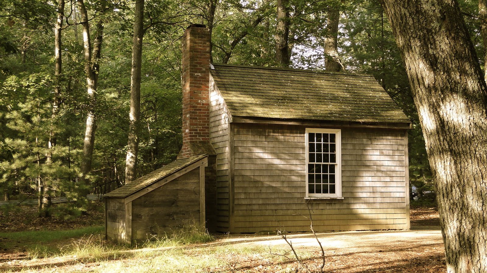 Walden / A vida nos Bosques – Henry David Thoreau